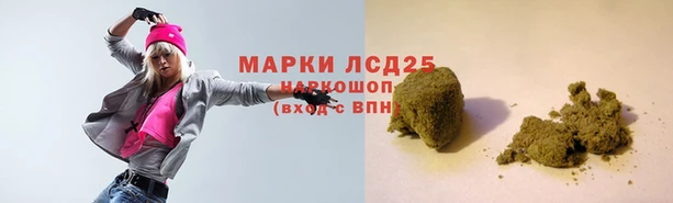 эйфоретик Надым
