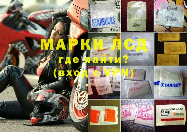 эйфоретик Надым