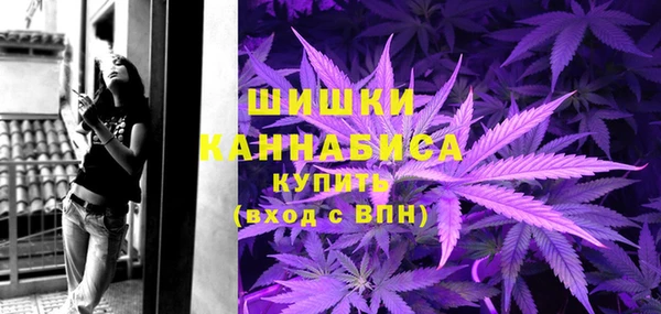 ГАЛЛЮЦИНОГЕННЫЕ ГРИБЫ Нея