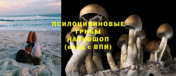 эйфоретик Надым