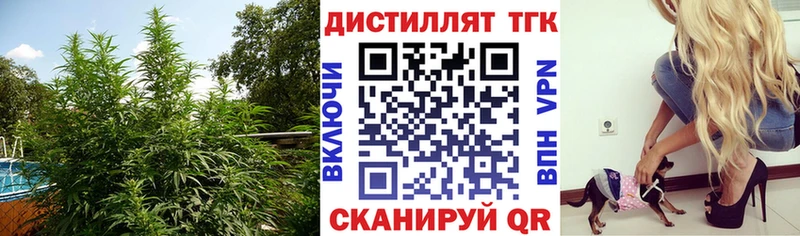 сколько стоит  Череповец  ТГК гашишное масло 